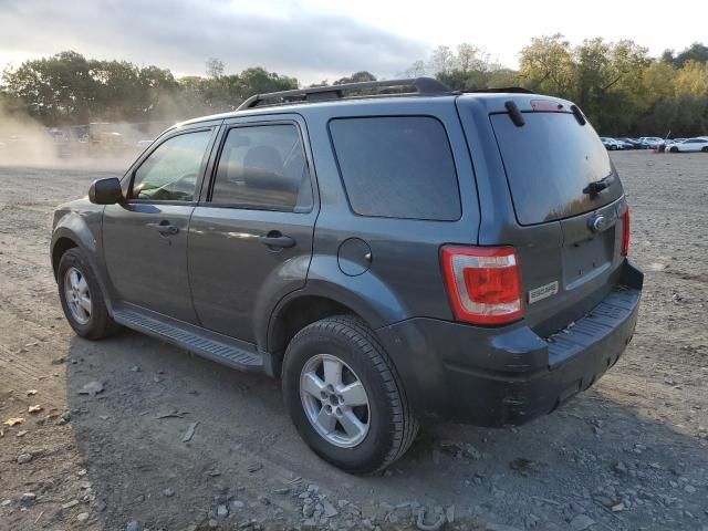 2009 Ford Escape XLT