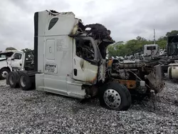 Freightliner salvage cars for sale: 2019 Freightliner Cascadia 126