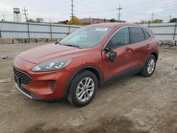 Ford Vehiculos salvage en venta: 2020 Ford Escape SE