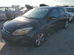 2014 Ford Focus SE en venta en Riverview, FL