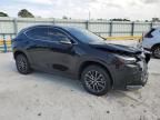 2024 Lexus NX 350H Base