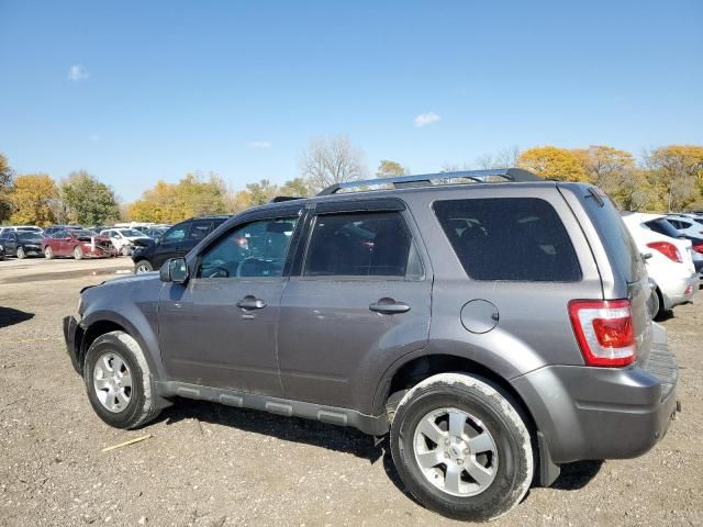 2010 Ford Escape Limited