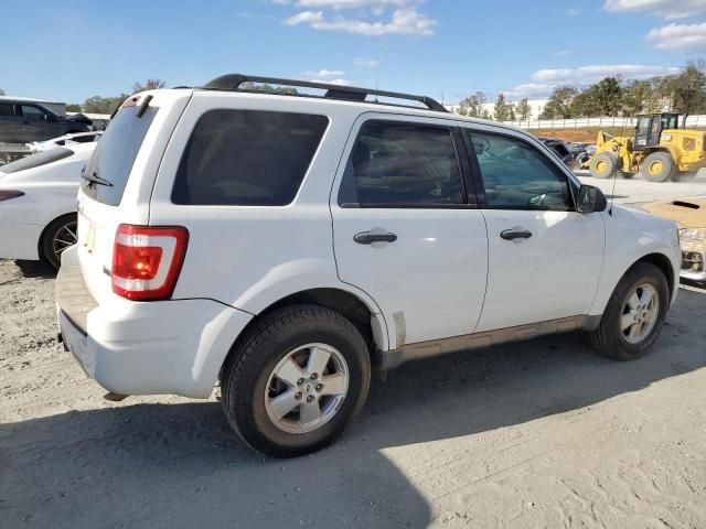 2010 Ford Escape XLT