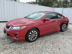 Honda salvage cars for sale: 2013 Honda Accord EX