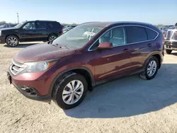 2013 Honda CR-V EXL en venta en Arcadia, FL