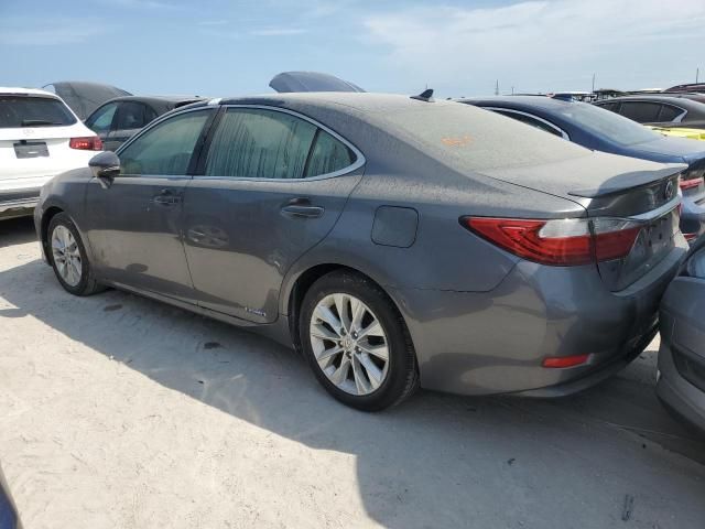 2013 Lexus ES 300H