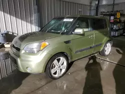 KIA salvage cars for sale: 2011 KIA Soul +