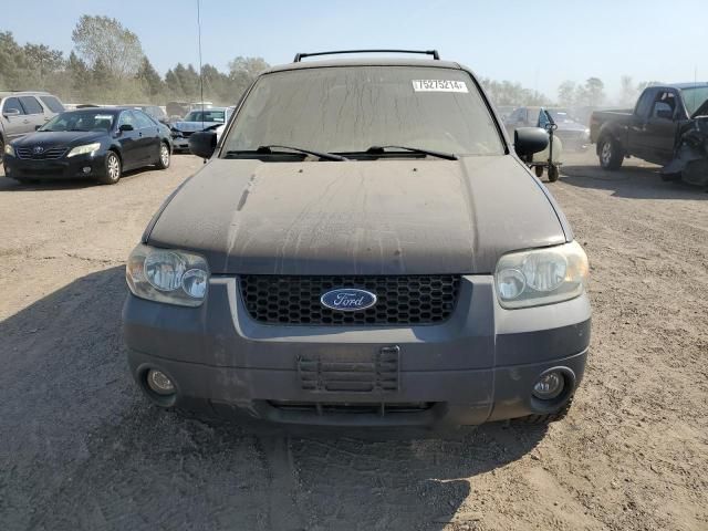 2006 Ford Escape XLT