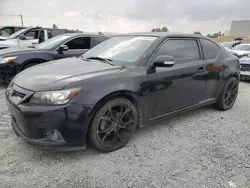 2013 Scion TC en venta en Mentone, CA