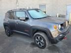 2019 Jeep Renegade Trailhawk