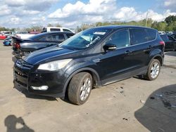 Salvage cars for sale at Louisville, KY auction: 2013 Ford Escape SEL