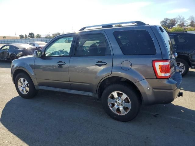 2011 Ford Escape Limited