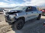 2019 Toyota Tundra Crewmax SR5