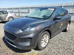 Salvage cars for sale at Riverview, FL auction: 2020 Ford Escape SE