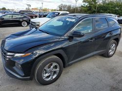 Salvage cars for sale at Lexington, KY auction: 2024 Hyundai Tucson SEL