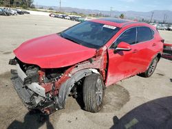 Vehiculos salvage en venta de Copart Van Nuys, CA: 2024 Lexus NX 350H Base