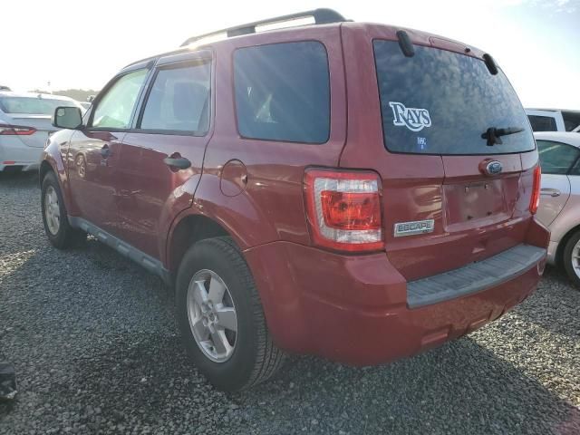 2010 Ford Escape XLT