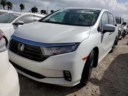 Salvage cars for sale at Riverview, FL auction: 2021 Honda Odyssey Elite