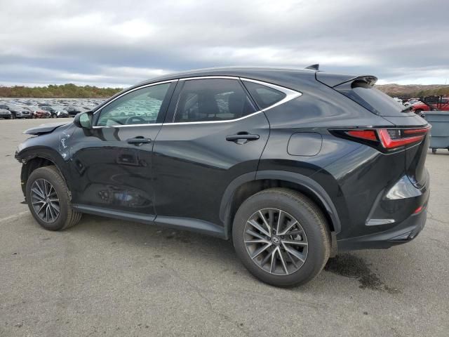 2024 Lexus NX 350 Base