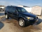 2006 Ford Escape Limited