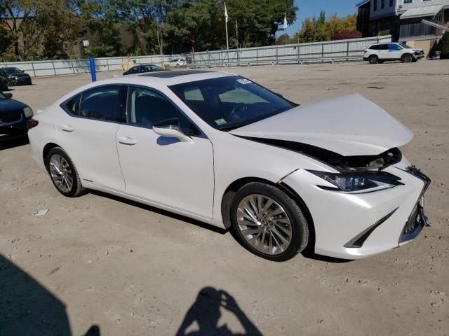 2020 Lexus ES 300H Luxury