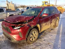 Salvage cars for sale at Anchorage, AK auction: 2024 Toyota Rav4 LE