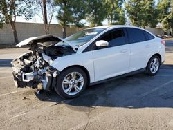 Ford salvage cars for sale: 2014 Ford Focus SE