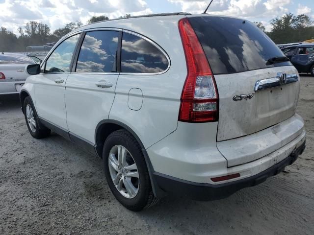 2010 Honda CR-V EXL