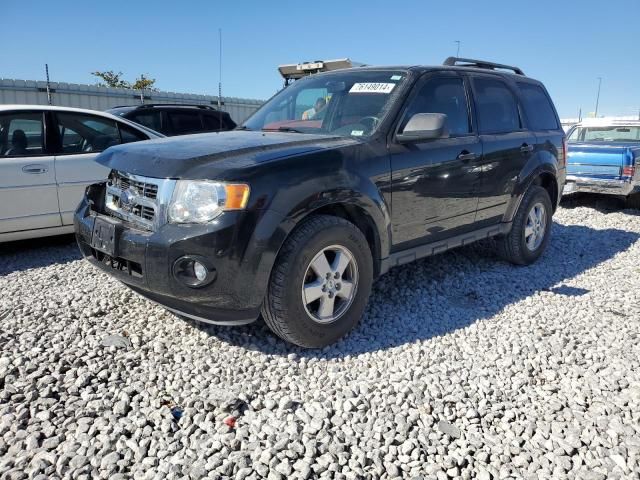 2009 Ford Escape XLT