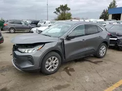 Salvage cars for sale from Copart Woodhaven, MI: 2024 Ford Escape Active