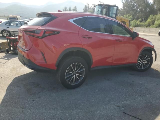 2024 Lexus NX 350H Base