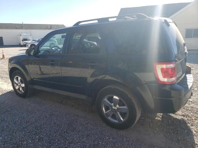 2010 Ford Escape XLT