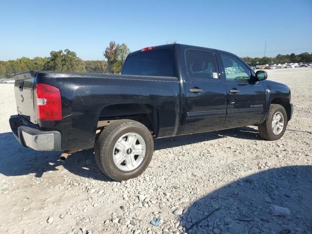 2010 Chevrolet Silverado K1500 LT