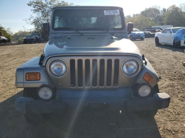 2004 Jeep Wrangler / TJ Sahara