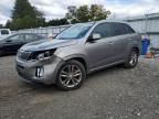 2014 KIA Sorento SX