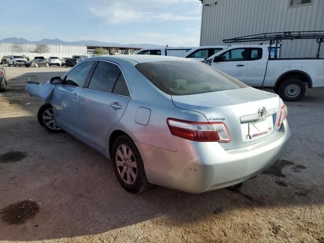 2009 Toyota Camry Hybrid