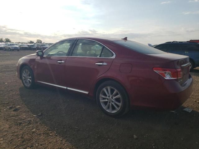 2010 Lexus ES 350