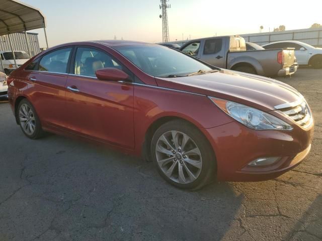 2013 Hyundai Sonata SE