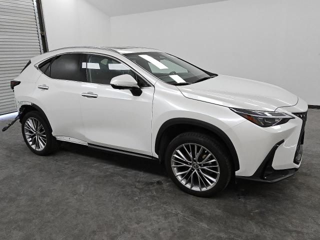 2022 Lexus NX 350H