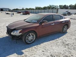 Salvage cars for sale at New Braunfels, TX auction: 2010 Nissan Maxima S