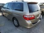 2005 Honda Odyssey EXL