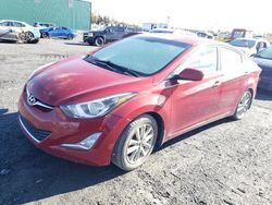 Flood-damaged cars for sale at auction: 2016 Hyundai Elantra SE