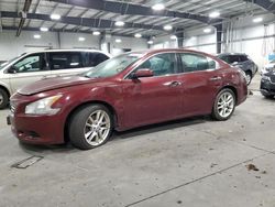 Nissan salvage cars for sale: 2013 Nissan Maxima S