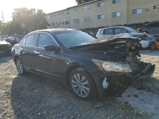 2011 Honda Accord EXL