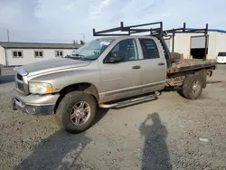 Dodge RAM 2500 salvage cars for sale: 2005 Dodge RAM 2500 ST