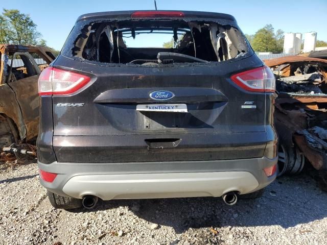 2013 Ford Escape SE