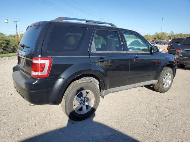 2009 Ford Escape Limited