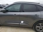 2023 Ford Escape ST Line