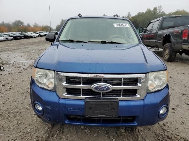 2008 Ford Escape XLT