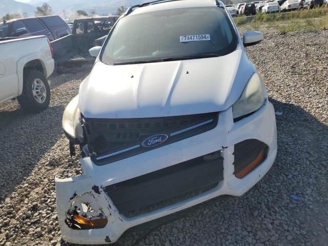 2013 Ford Escape SE